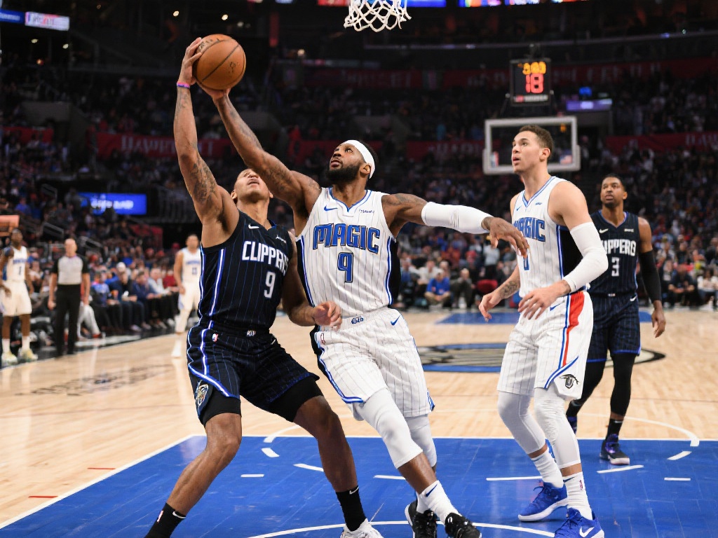 网不仅仅是 网不仅仅是